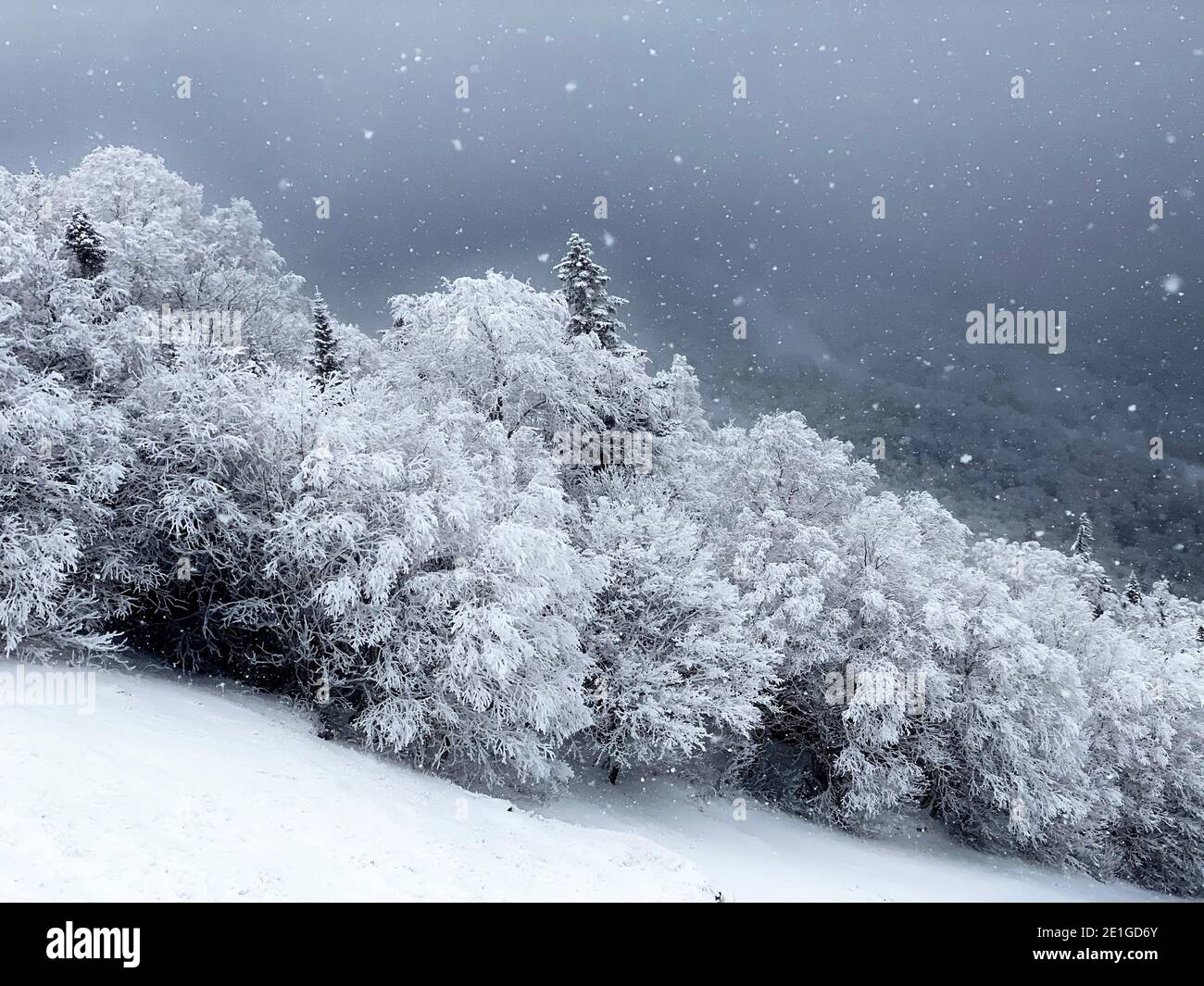Paisaje nevado en Stowe, Vermont