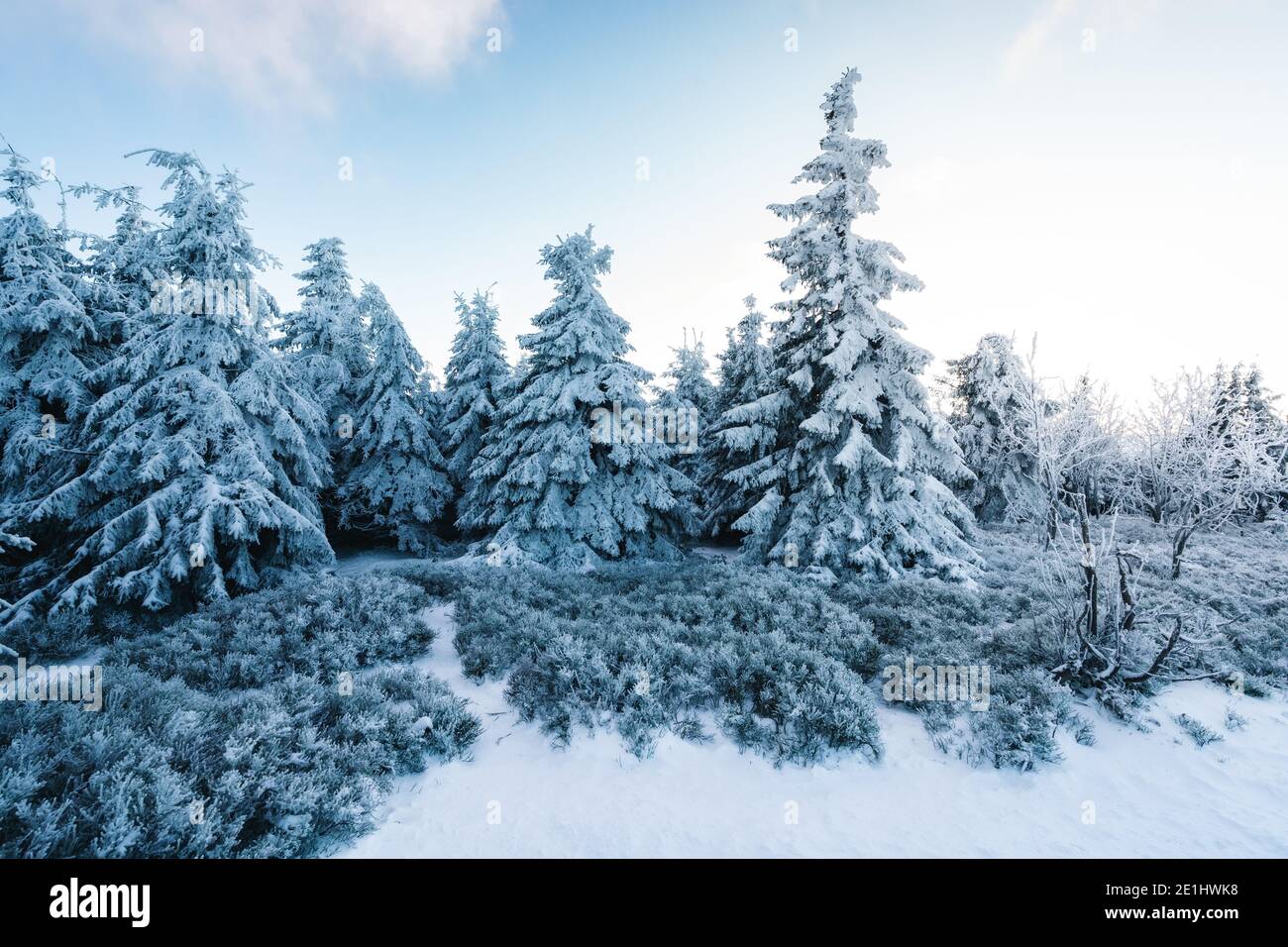 Fondo de pantalla de invierno fotografías e imágenes de alta resolución -  Alamy