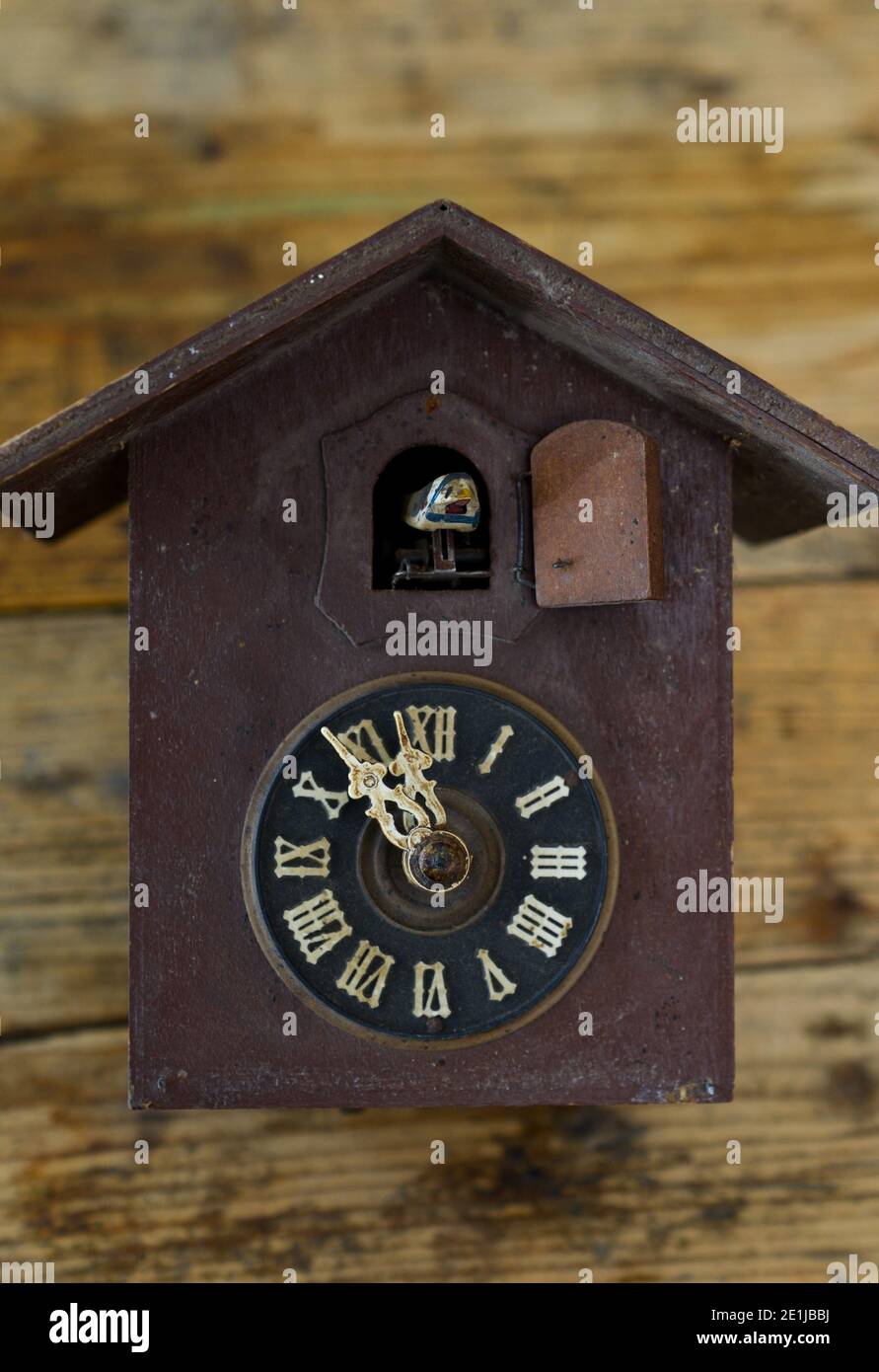 Reloj, relojes, oldfashion, alemán, de pared, de momento, el reloj de cuco,  Bruselas, Bruselas, Bélgica Fotografía de stock - Alamy