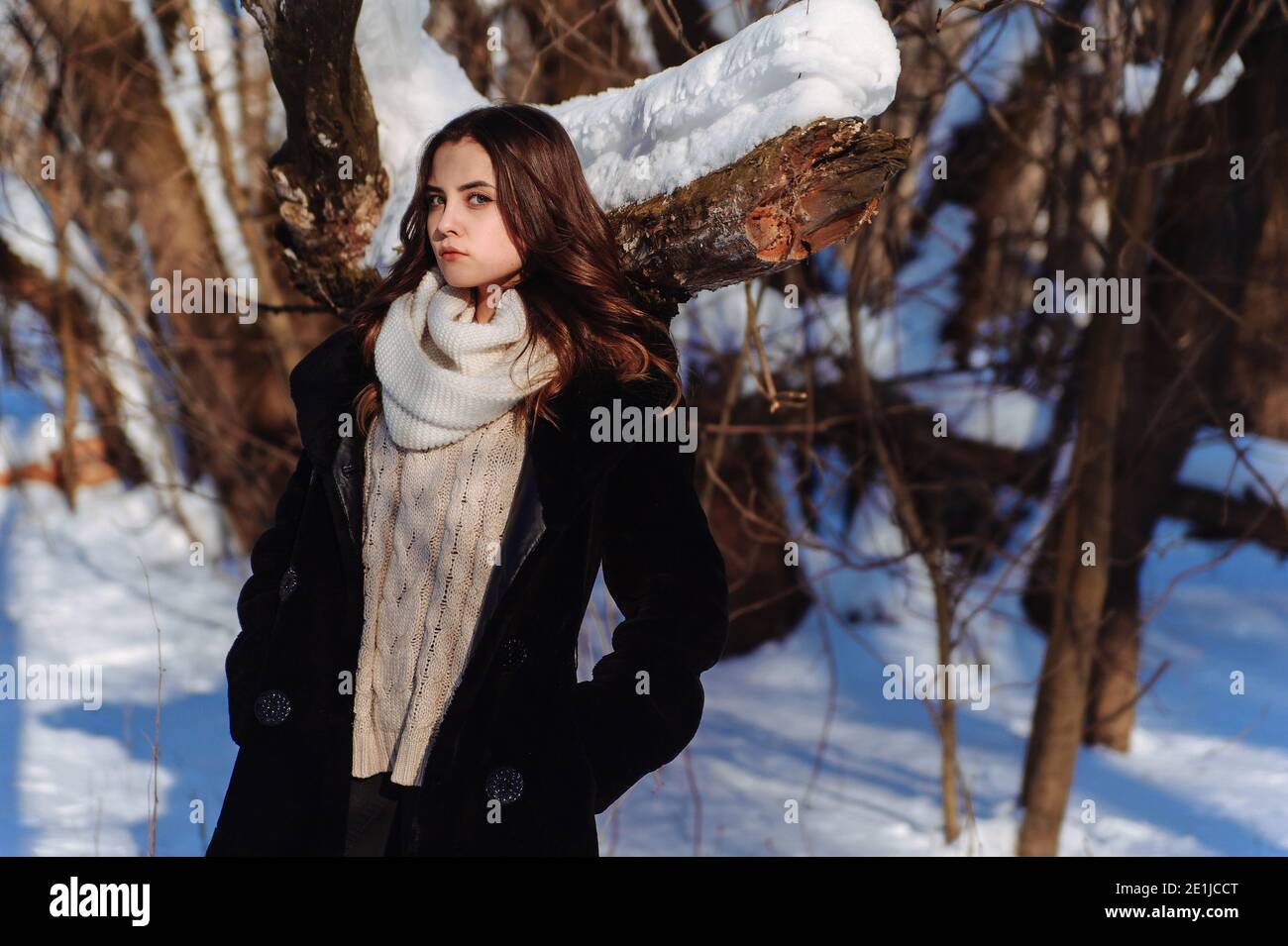 Chica en el abrigo negro y bufanda blanca sosteniendo sus manos en el bolsillo al fondo de los árboles cubiertos de nieve. Soleado día de invierno Foto de stock