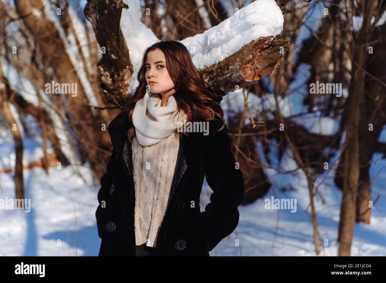 Chica en el abrigo negro y bufanda blanca al fondo de los árboles cubiertos de nieve. Soleado día de invierno Foto de stock
