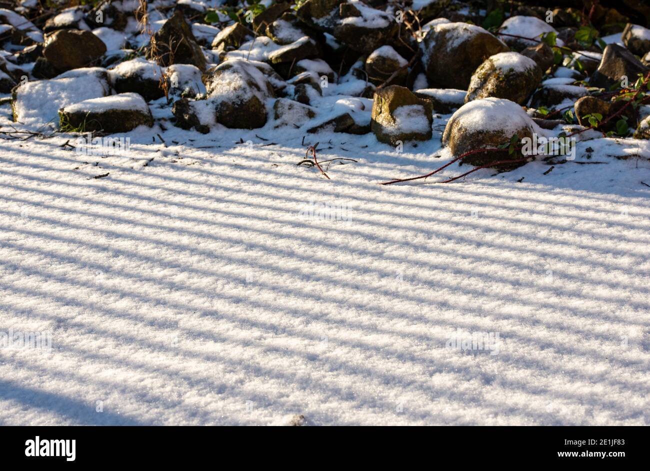 Patrones en la nieve, Chipping, Preston, Lancashire. Foto de stock
