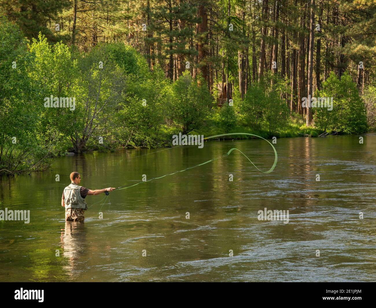 Pesca con mosca en el río Metolius, Oregon Central. Foto de stock