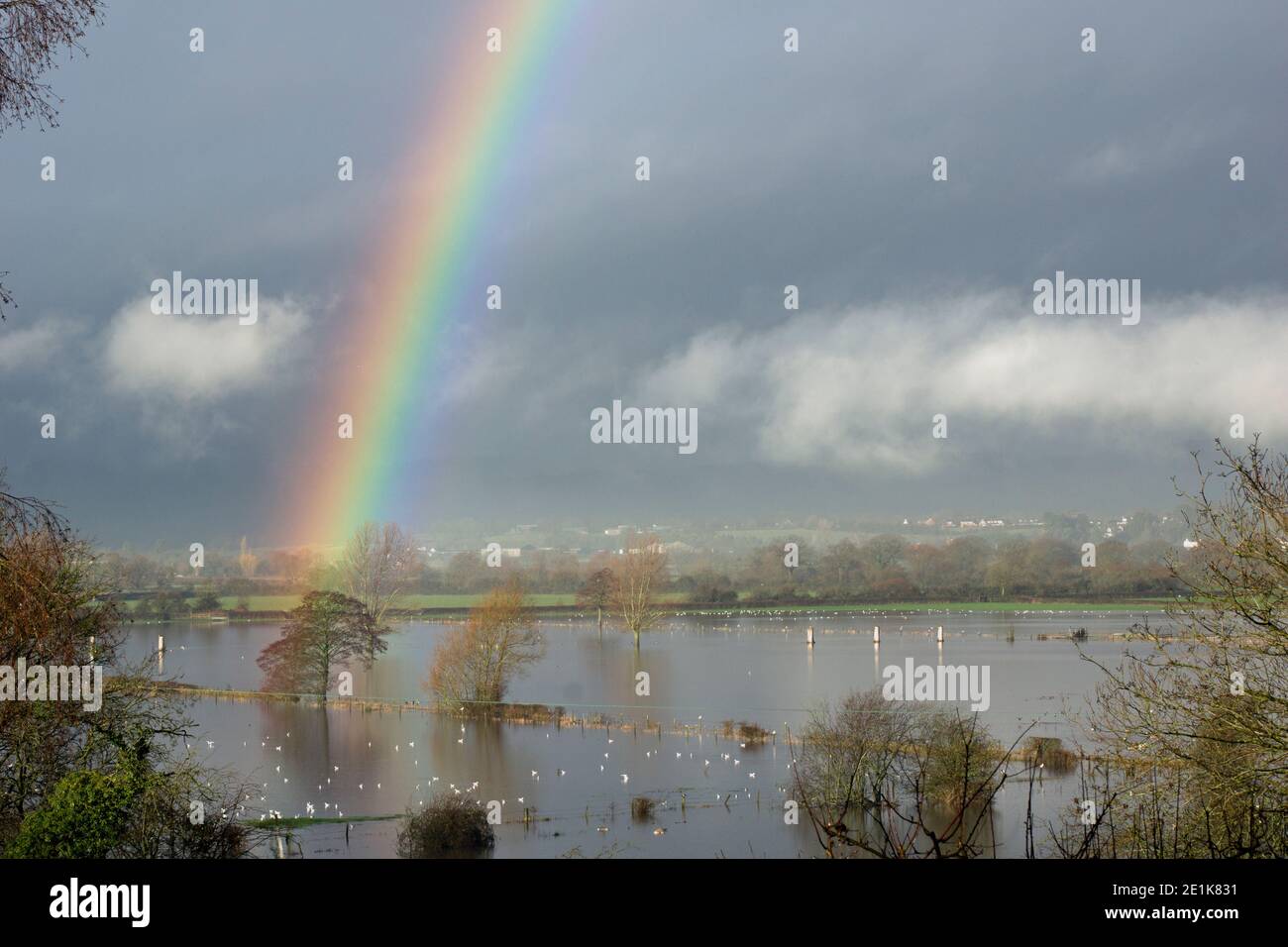 Arco iris sobre un Walmore común inundado, Gloucestershire, Reino Unido el 23 de diciembre de 2020 Foto de stock