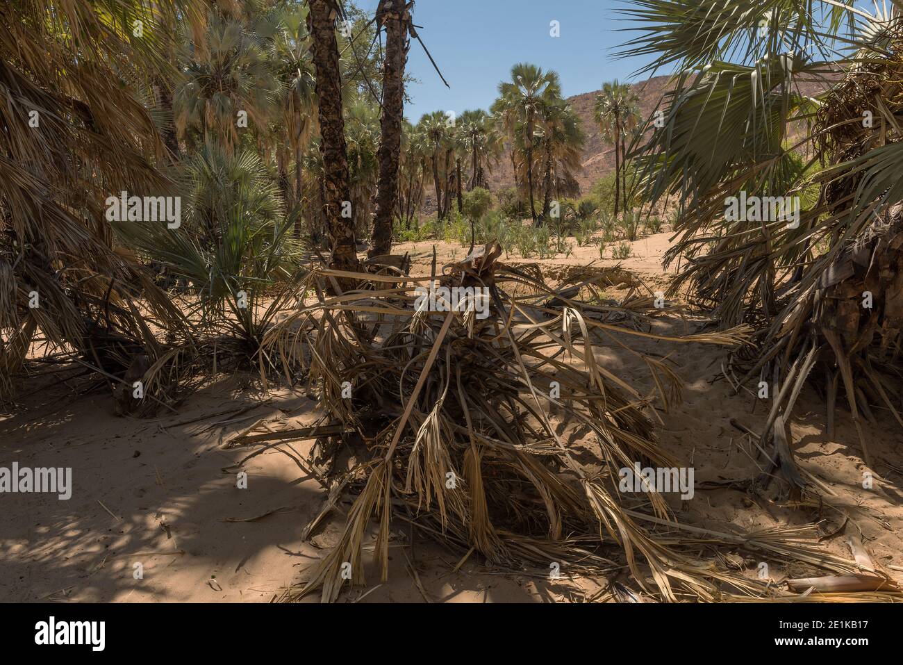 Paisaje a lo largo del río Kunene en el norte de Namibia Foto de stock