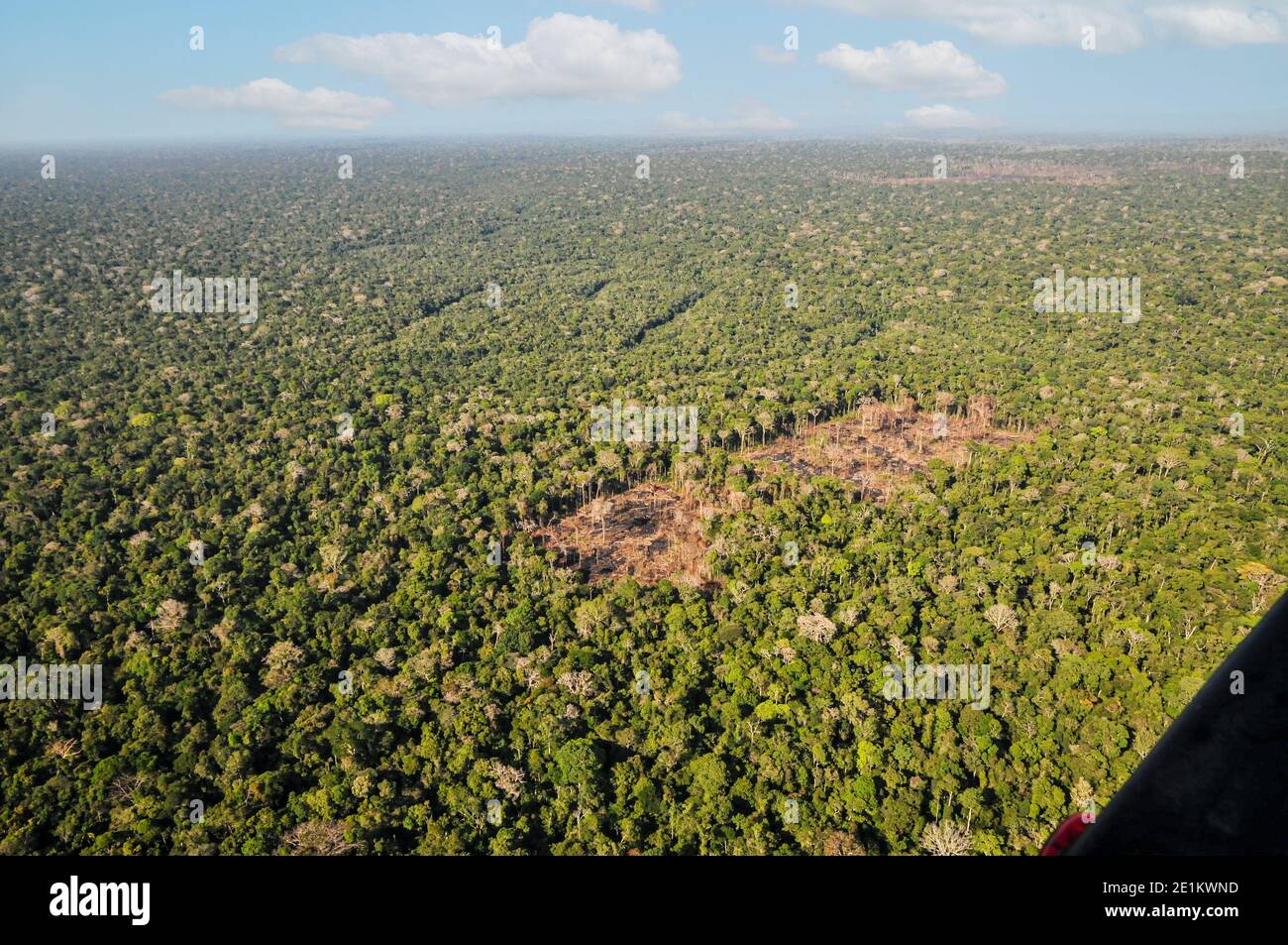 Vista aérea de la selva brasileña Foto de stock