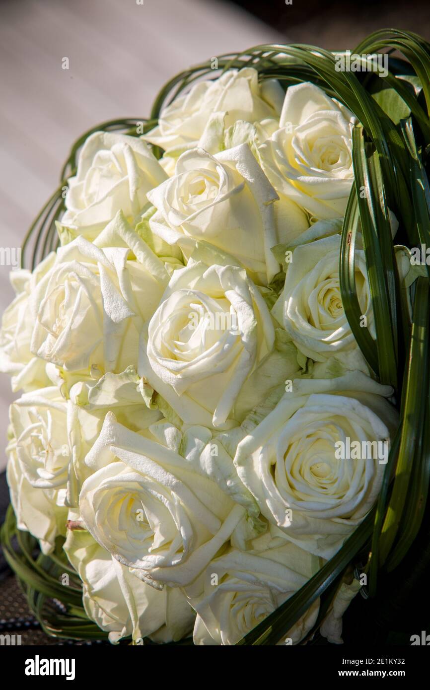 Hermoso ramo de rosas blancas con cinta, primer plano. Concepto de  matrimonio. Foto de alta calidad Fotografía de stock - Alamy