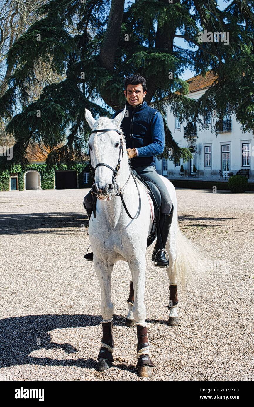 Portugal / Azinhaga /la hermosa finca “Quinta da Broa” es el lugar de nacimiento de los caballos Veiga, uno de los cuatro linajes principales de la raza lusitana. Foto de stock