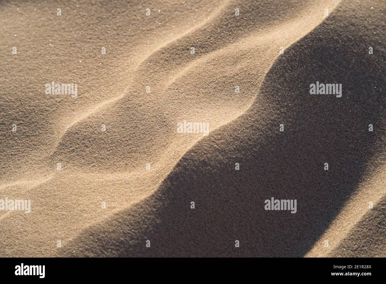 Pequeña arena duna primer plano en suave luz cálida baja. Tomada en la playa de Jūrmala justo antes de la puesta de sol, cuando el bajo sol hace que todos los pequeños detalles sean más pronunciados. Foto de stock