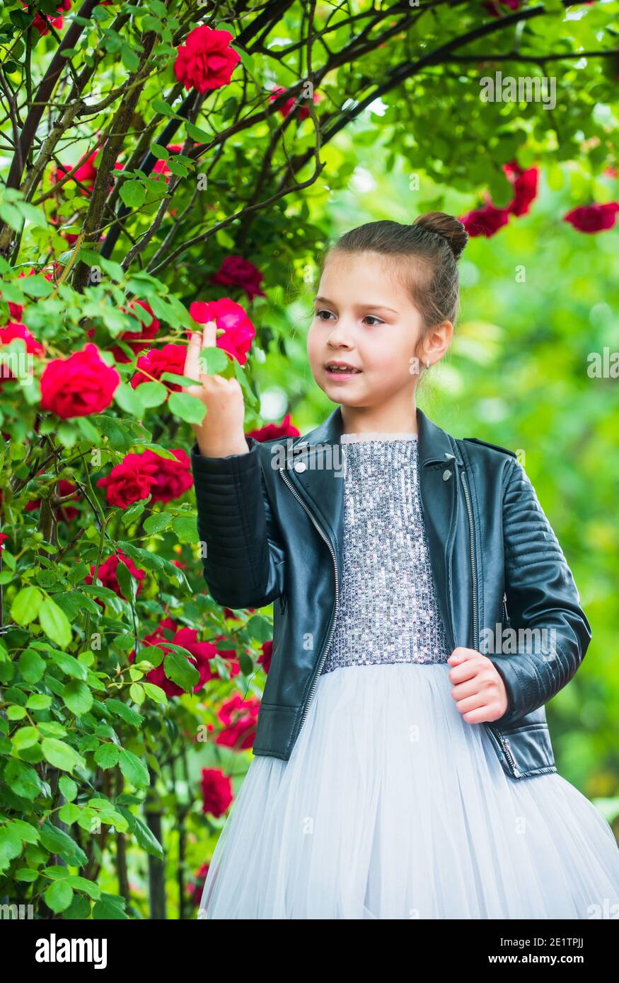 Moda niña vestido de lujo y chaqueta de en el jardín de rosas, concepto de niño Fotografía de stock - Alamy
