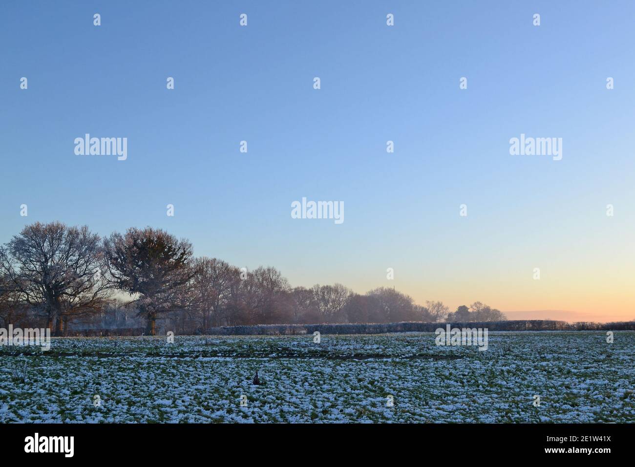 Fackenden Down, en Kent, cerca de Sevenoaks, en nieve y heladas en enero de 2021 a última hora de la tarde. Árboles helados, vistas brumosas, ramas escarchadas, carretera helada Foto de stock