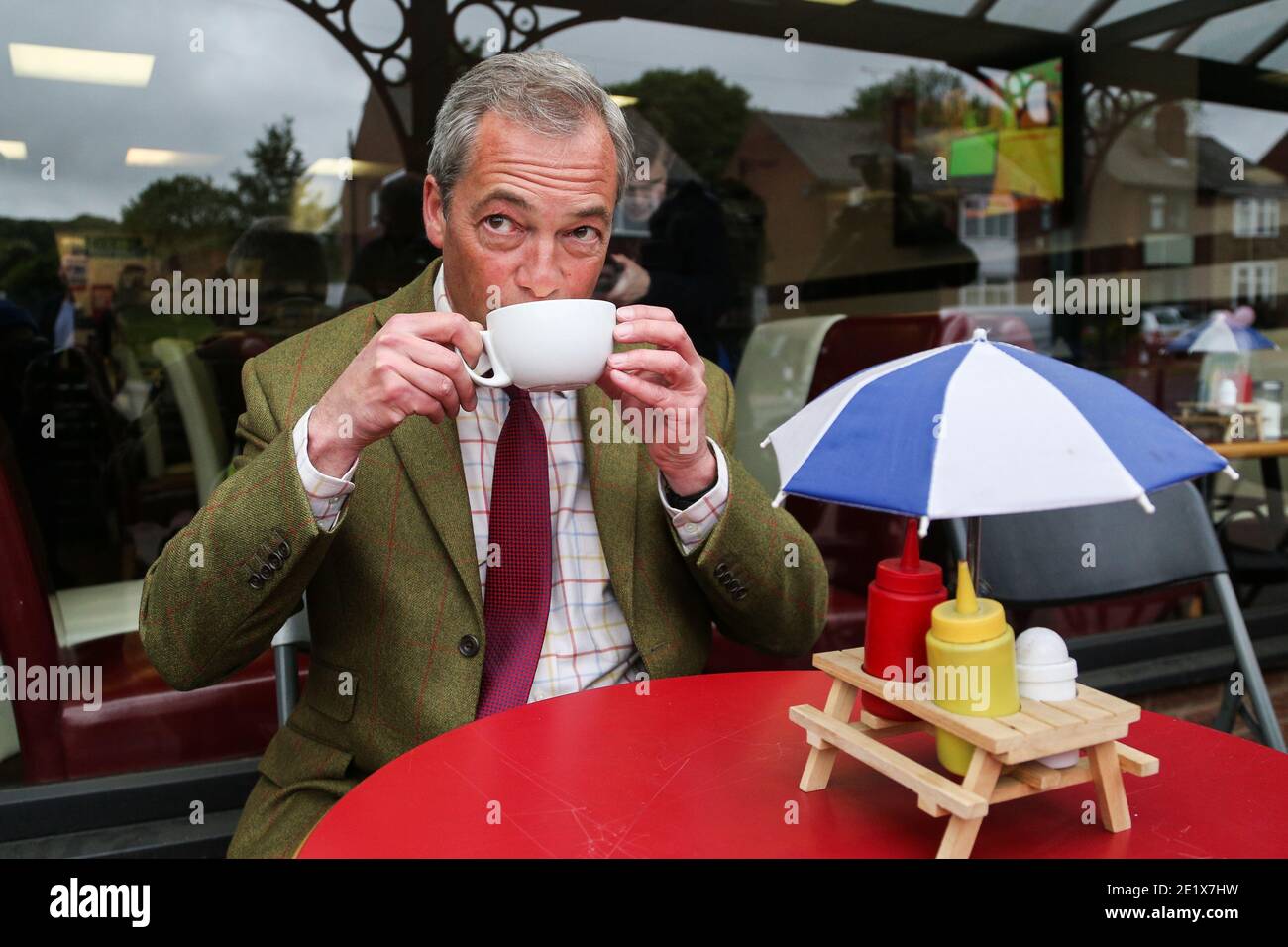 25/05/16. Stocksbridge, Reino Unido. Nigel Farage sips una taza de té en Stocksbridge, South Yorkshire, durante la campaña en el período previo al referéndum de la UE. Foto de stock