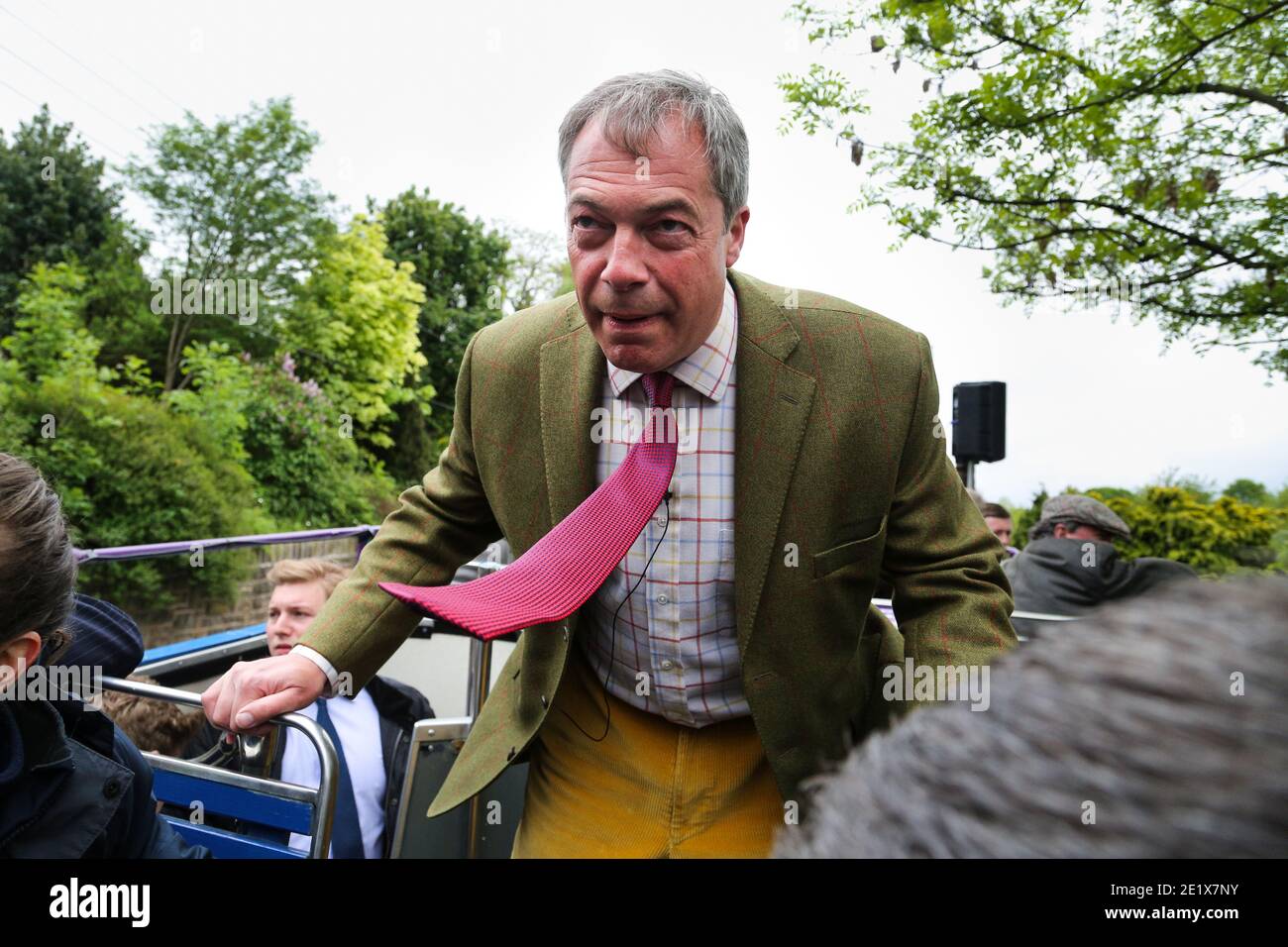 25/05/16. Stocksbridge, Reino Unido. Nigel Farage patos para evitar los árboles colgados mientras que él viaja encima del autobús del referéndum UKIP en Stocksbridge, South Yorkshire, i Foto de stock