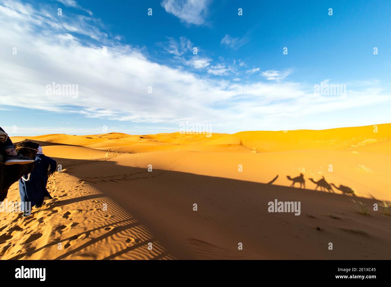 (Enfoque selectivo) impresionante vista de la silueta de dos personas montando camellos en las dunas de arena en Merzouga, Marruecos. Foto de stock