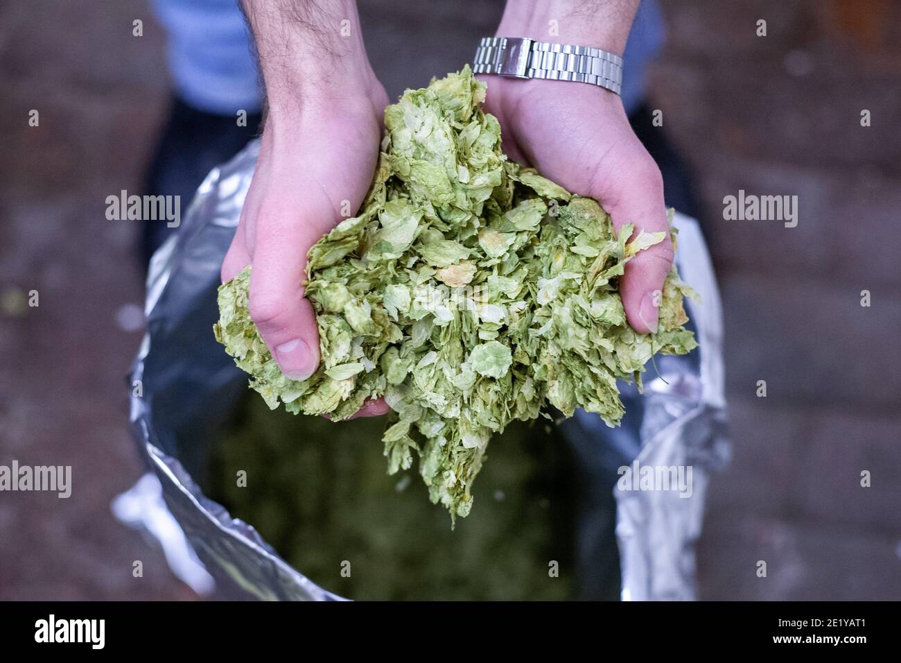 Los trabajadores de una fábrica de cerveza tienen saltos de cascada en una cervecería británica en South Yorkshire, Reino Unido. Foto de stock