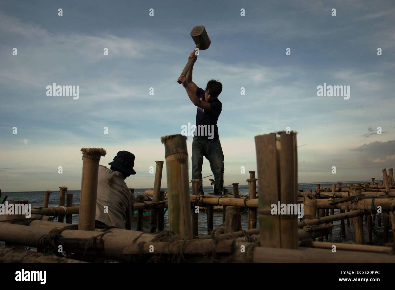 Los hombres construyen una estructura costera usando postes de bambú. Foto de stock