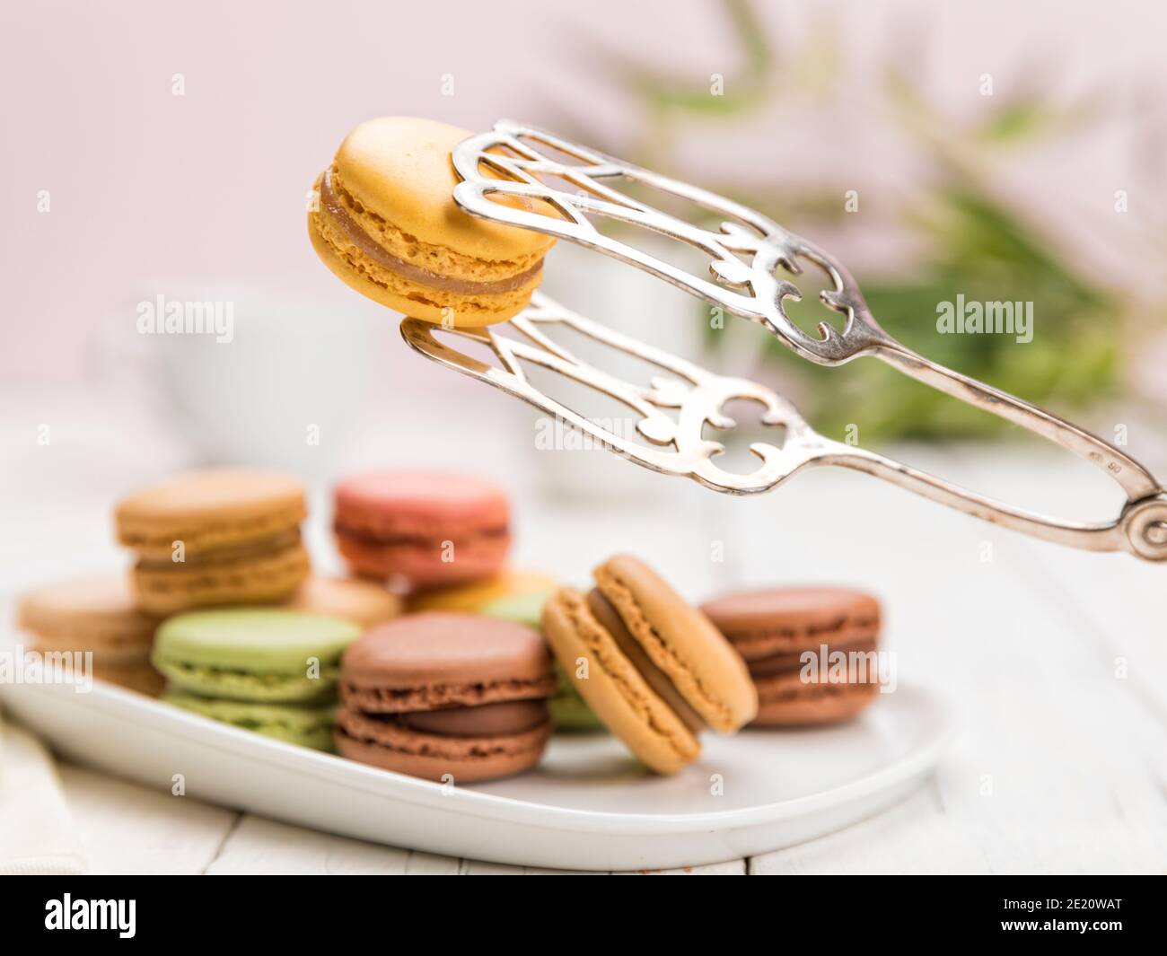 Surtido de pasteles de macarons franceses en mesa de café, se centran en un sabor a limón que se sostiene con las pinzas de pastelería, Foto de stock