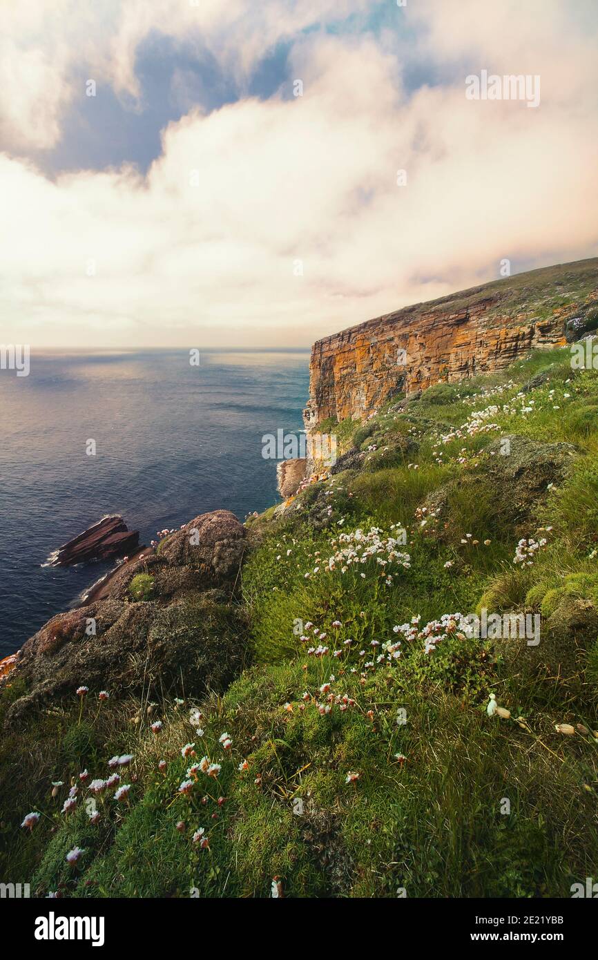 Vista del océano Atlántico desde la cima del acantilado en el oeste Costa de las islas Orkney en el norte de Escocia en verano Foto de stock