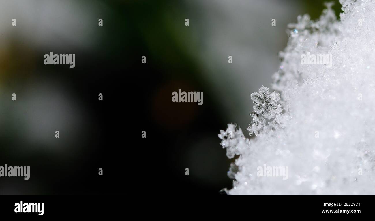 delicada flor de cristal claro en el panorama de la nieve Foto de stock