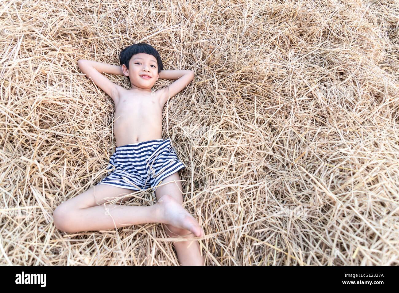 esposa logo Autorización Retrato de un lindo niño asiático sonriendo y acostado sobre heno, paja de  arroz Fotografía de stock - Alamy