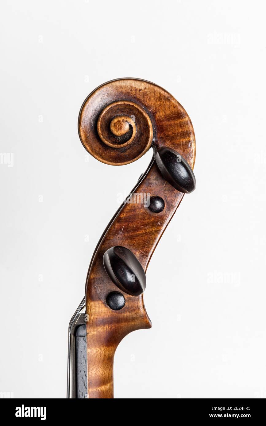 Primer plano del rollo, la caja de ganchos, las clavijas y nuez de viejo violín, sobre un fondo blanco Fotografía de - Alamy