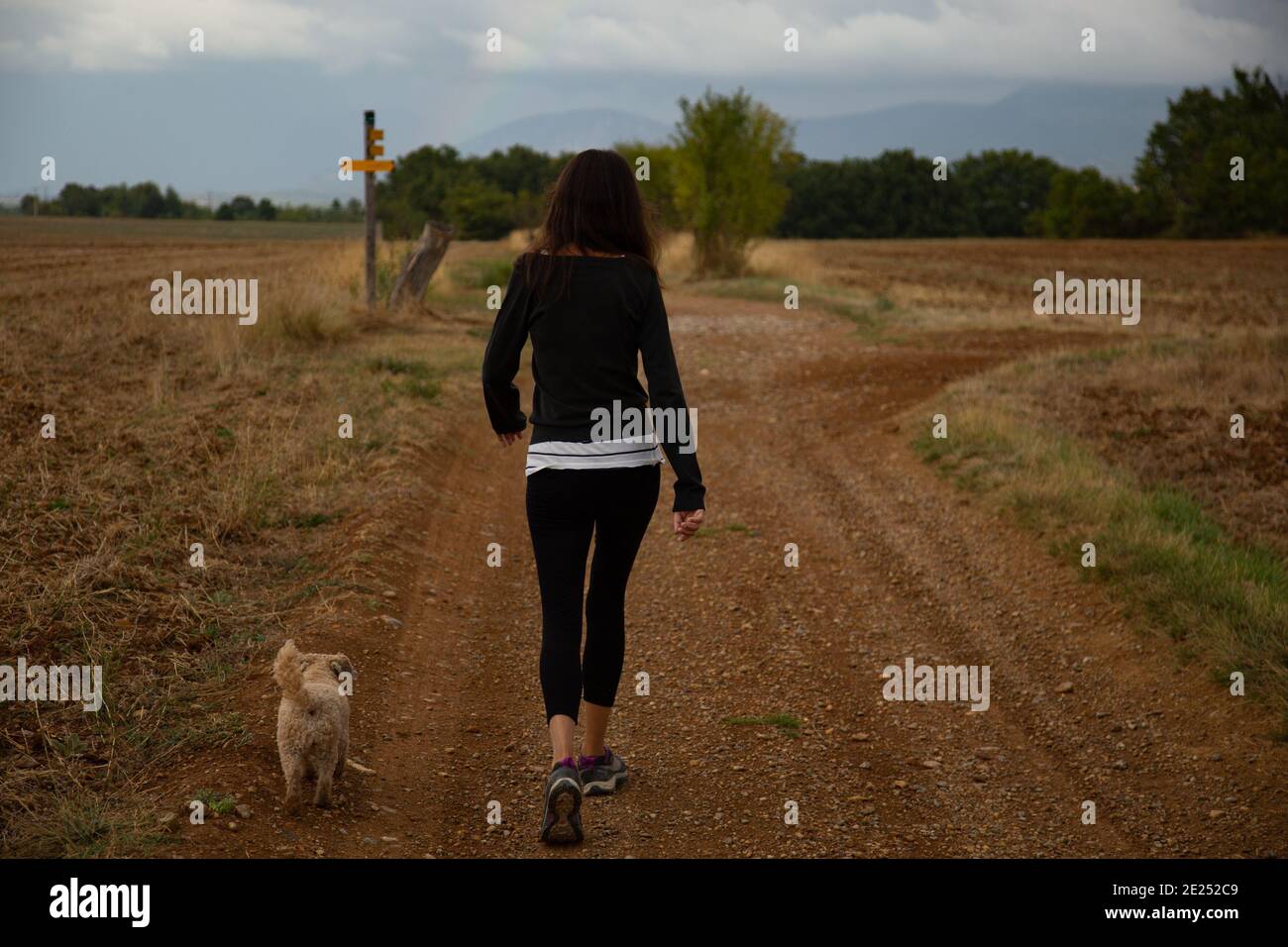 Mujer caminando a su perro en el campo Foto de stock