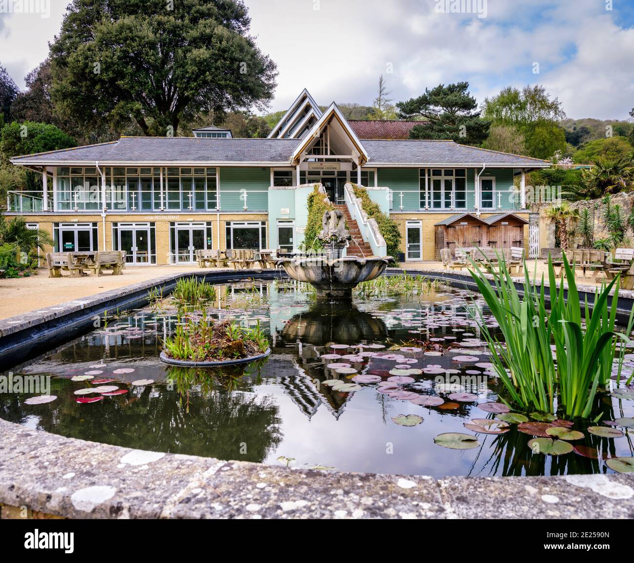 Atracción para visitantes: El jardín más caliente de Gran Bretaña, el jardín botánico Ventnor en la isla de Wight, Reino Unido. Foto de stock