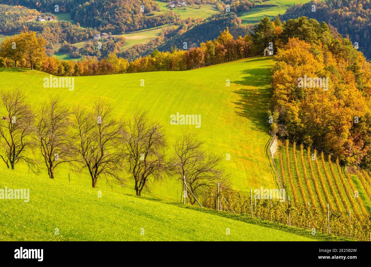 Vista otoñal del valle del Eisack en el sur del Tirol - Eisacktal - norte de Italia - Europa. Fotografía de paisajes Foto de stock