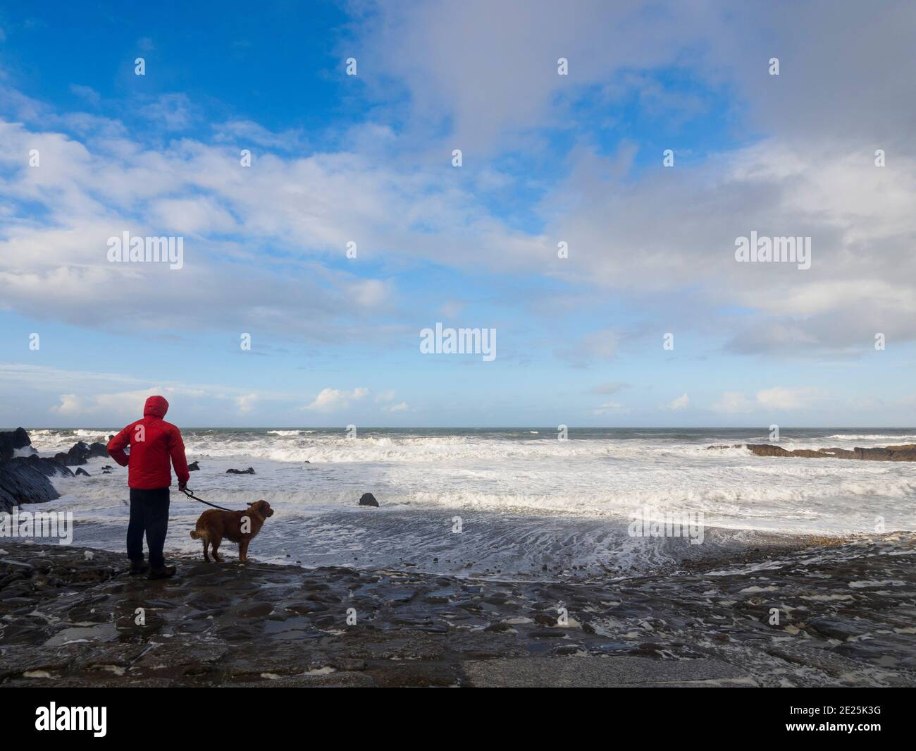 Hombre con perro mirando el mar en un soleado día de invierno, Bude, Cornwall, Reino Unido Foto de stock