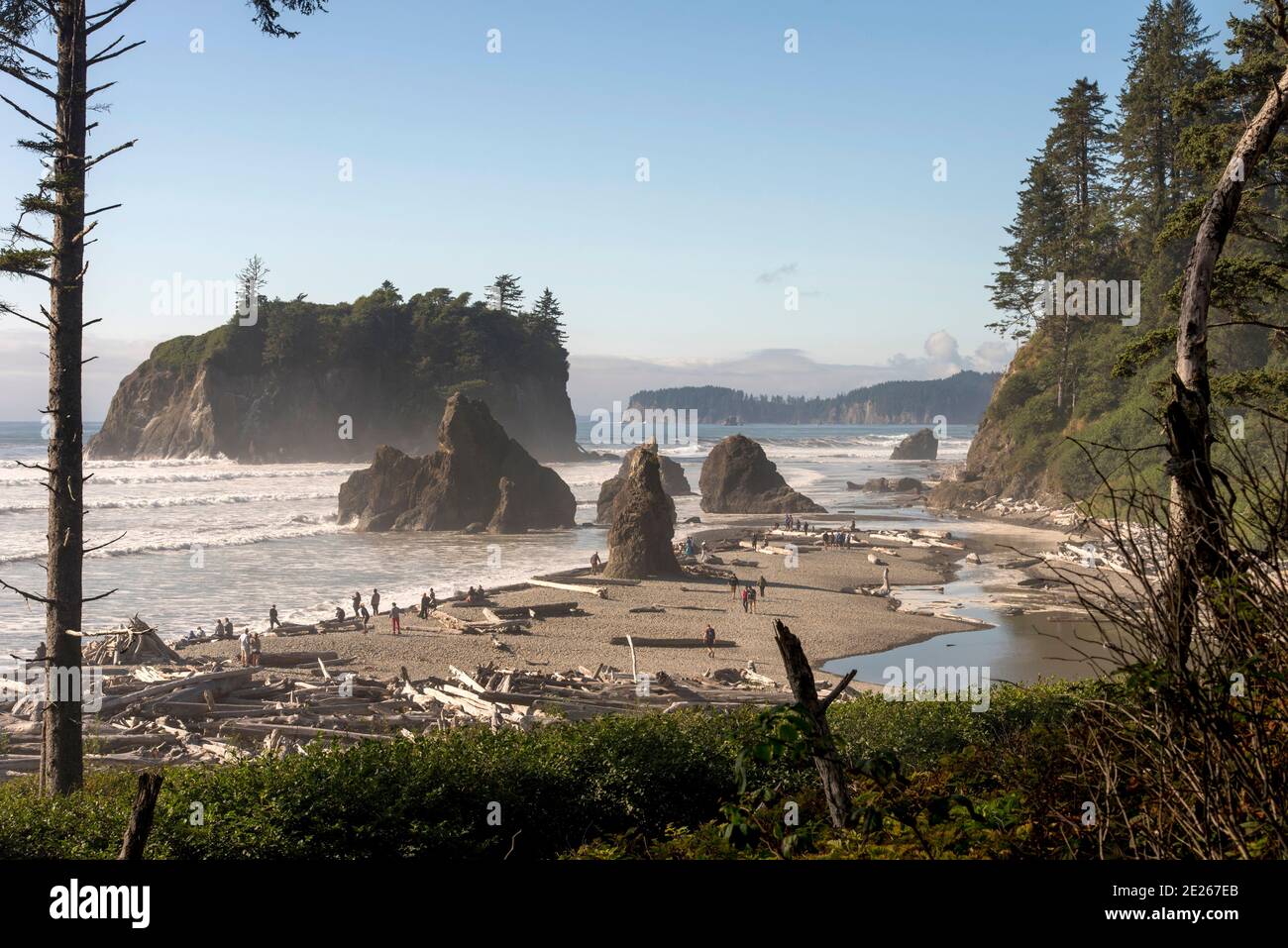 Forks Washington Fotos e Imágenes de stock Alamy