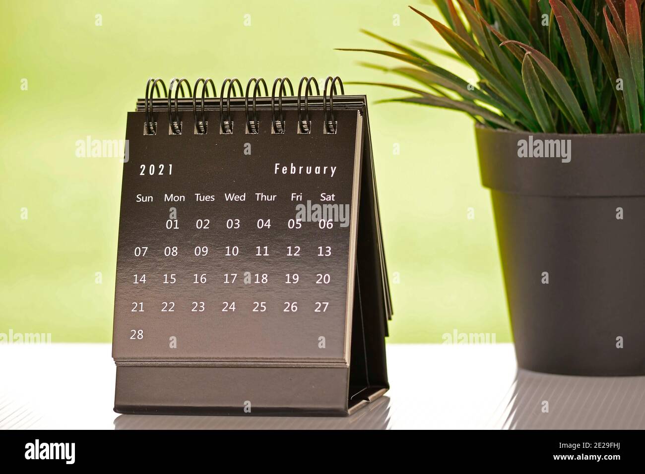 Negro Febrero 2021 calendario con fondos verdes y planta en maceta. 2021 concepto de año Nuevo Foto de stock