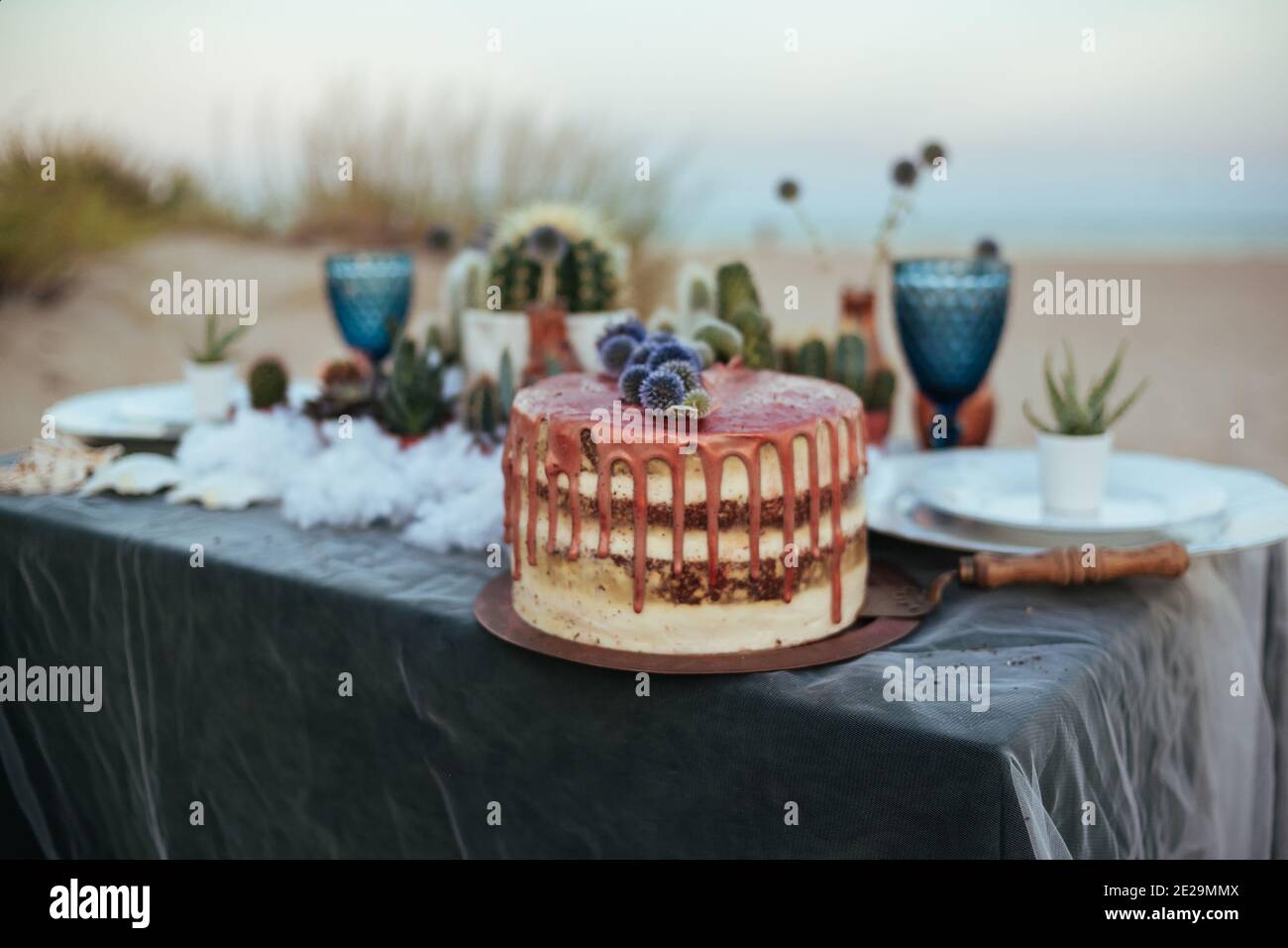 Pastel de cumpleaños cactus fotografías e imágenes de alta resolución -  Alamy