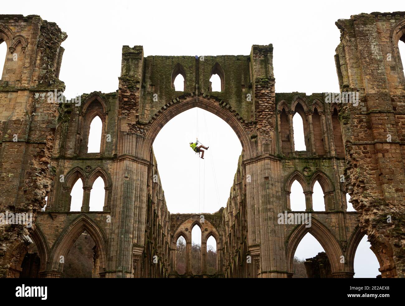 Stoneemason James Preston de SSH Conservation, abseils de Rievaulx Abbey en North Yorkshire como el Patrimonio Inglés se prepara para llevar a cabo un trabajo vital de conservación. El Patrimonio Inglés comisiona una encuesta en la Abadía de Rievaulx en un ciclo de cinco años para evaluar la condición de la abadía desde el nivel del suelo hasta la parte superior de la estructura. Foto de stock