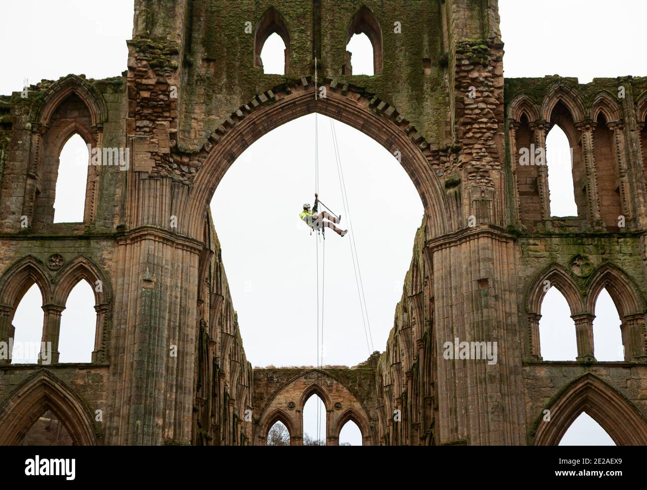 Stoneemason James Preston de SSH Conservation, abseils de Rievaulx Abbey en North Yorkshire como el Patrimonio Inglés se prepara para llevar a cabo un trabajo vital de conservación. El Patrimonio Inglés comisiona una encuesta en la Abadía de Rievaulx en un ciclo de cinco años para evaluar la condición de la abadía desde el nivel del suelo hasta la parte superior de la estructura. Foto de stock