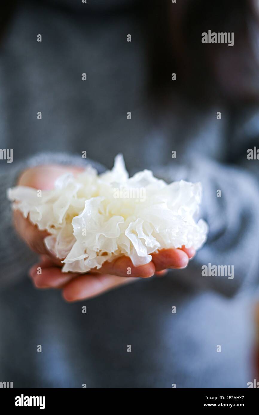 Tremella seta, conocido también como hongo de la nieve Foto de stock