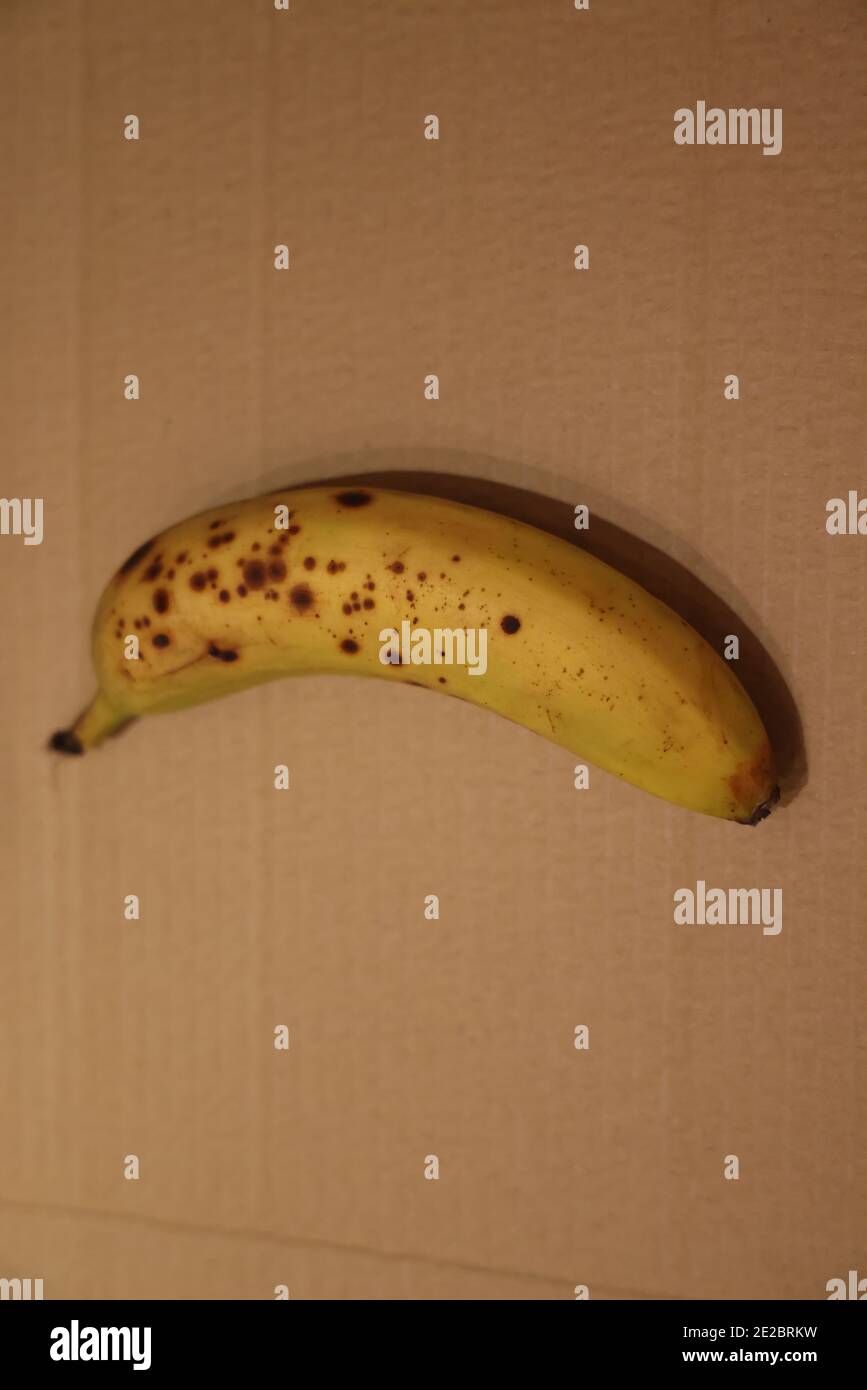Demostración de que la radiación ultravioleta (UVA) de una luz negra produce fluorescencia de bananos maduros; indicación de madurez (el mismo plátano en luz normal) Foto de stock