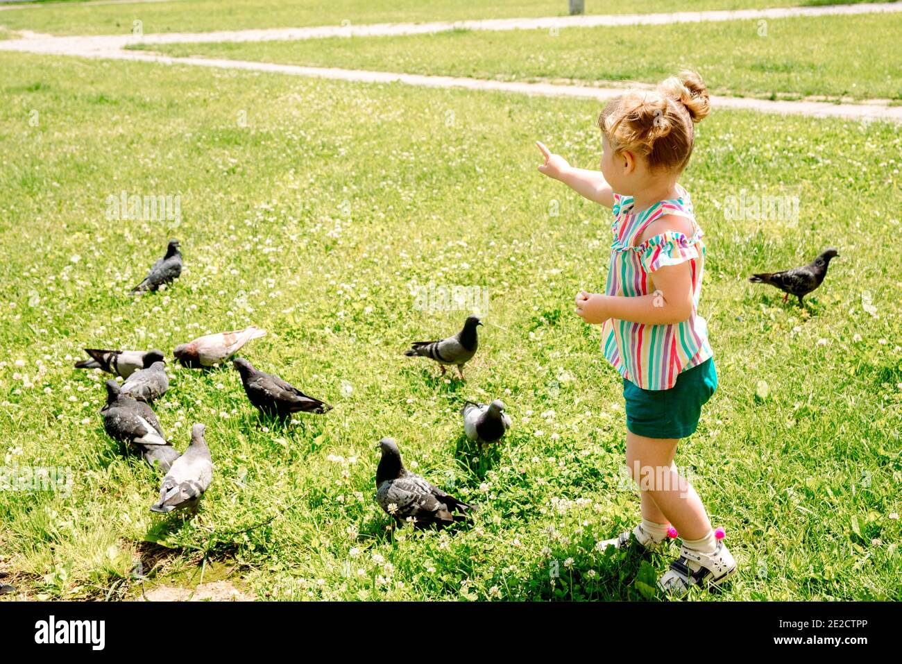 Niño está alimentando palomas en el parque de la ciudad al aire libre.pequeña  niña corriendo cerca de palomas. Persiguiendo palomas, niño sonriente  feliz.Verano soleado caliente Fotografía de stock - Alamy