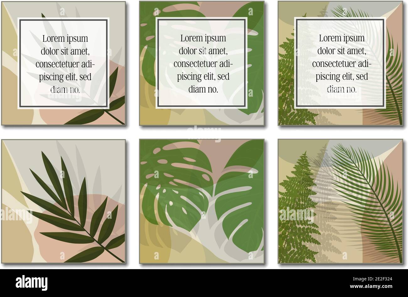 plantilla de diseño botánico de varias páginas con espacio de copia para ilustración vectorial de texto. Ilustración del Vector