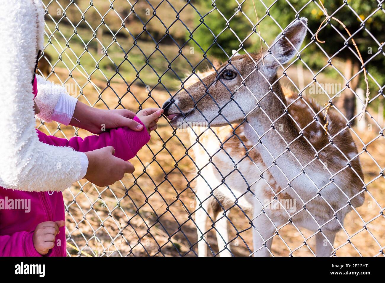 Niños jugando fondos de pantalla fotografías e imágenes de alta resolución - Alamy Niños jugando fondos de pantalla fotografías e imágenes de alta resolución - Alamy
