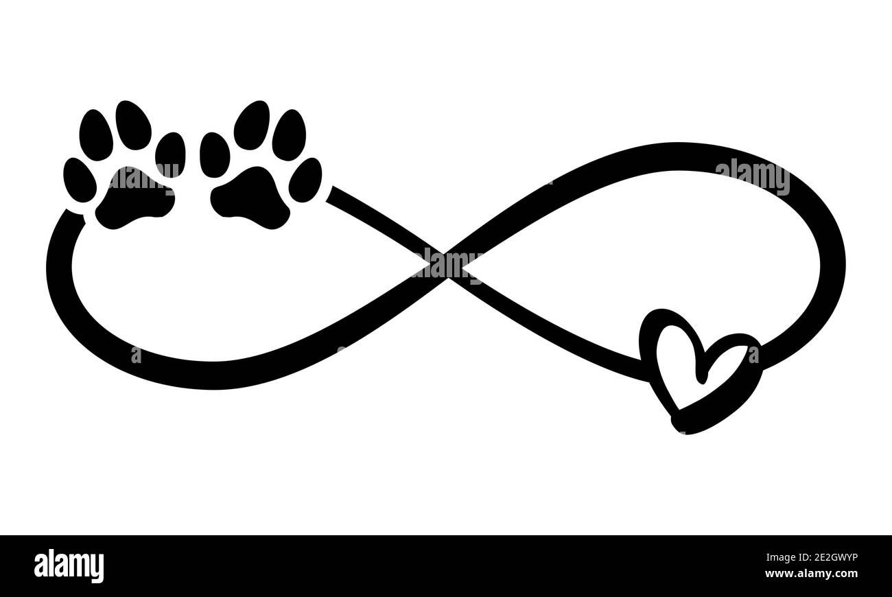 Huellas de pata de perro o gato y corazón - en forma infinita - tatuaje  encantador, tinta. Corazón encantador con estampado de pata y corazón  dentro del símbolo de infinito. Diseño moderno