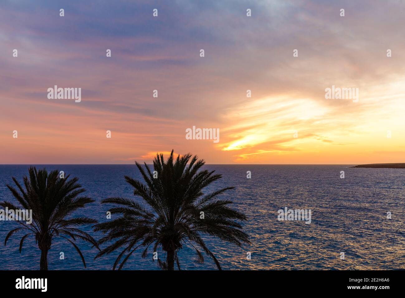 Silueta de palmera durante la puesta de sol en las islas canarias Foto de stock