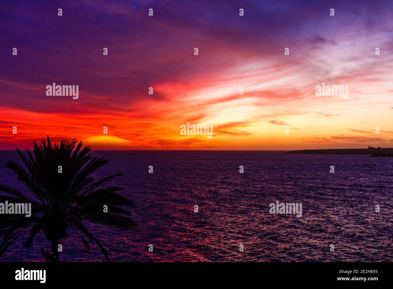 Silueta de palmera durante la puesta de sol en las islas canarias Foto de stock