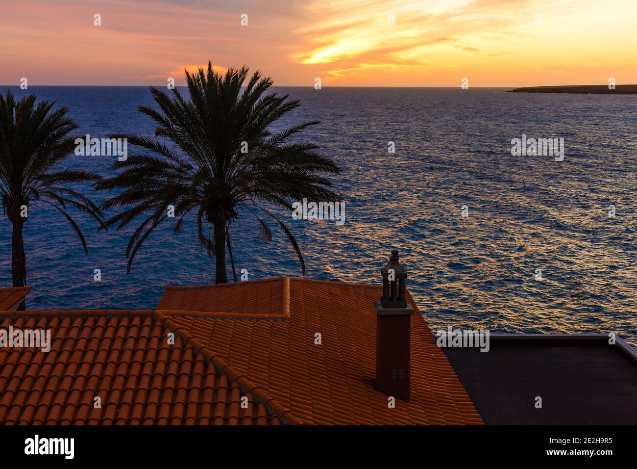 Silueta de palmera durante la puesta de sol en las islas canarias Foto de stock