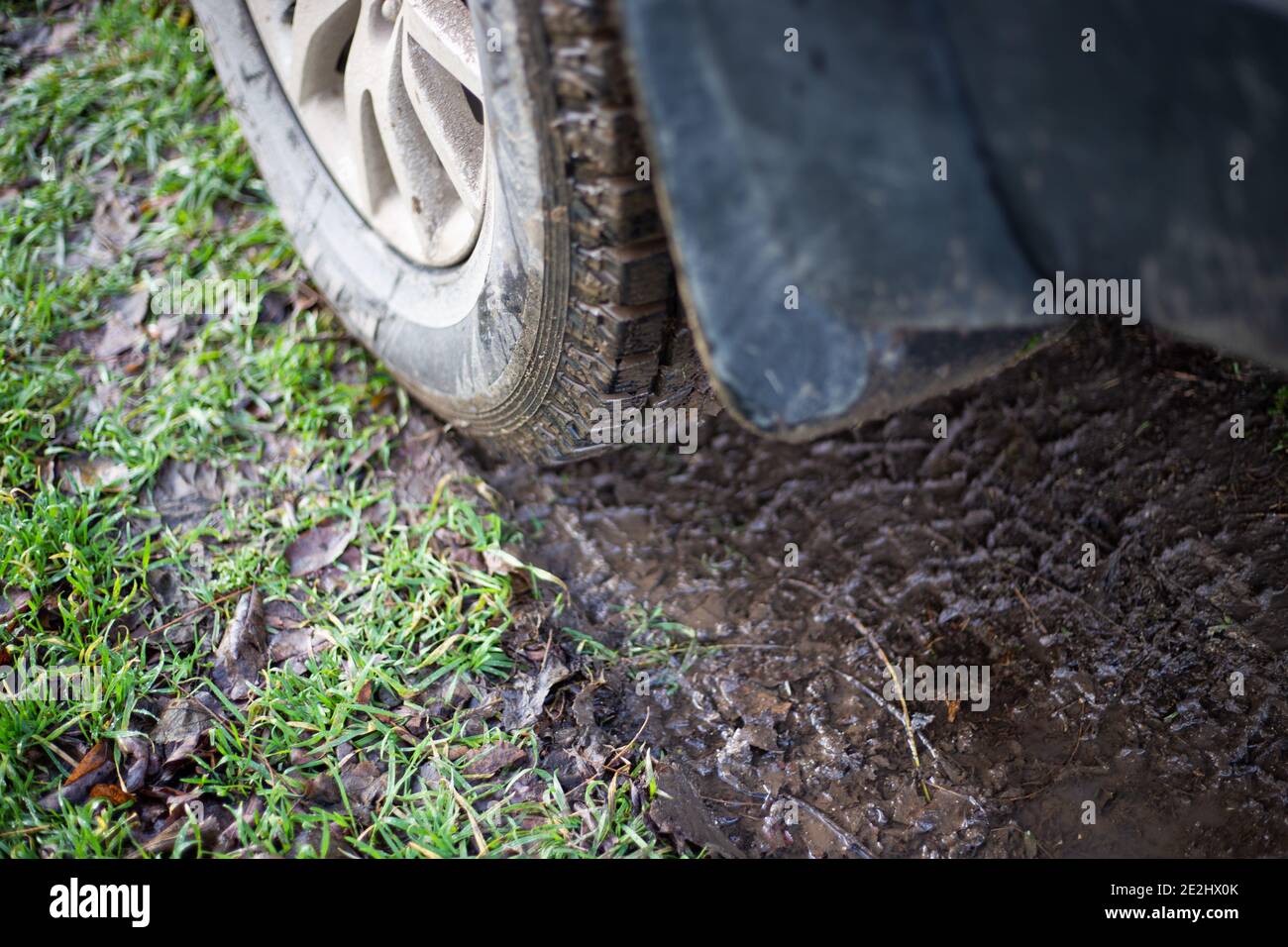 personaje Polinizador es suficiente Rueda de coche en un camino fangoso en el campo. Neumáticos de alta  flotación Fotografía de stock - Alamy