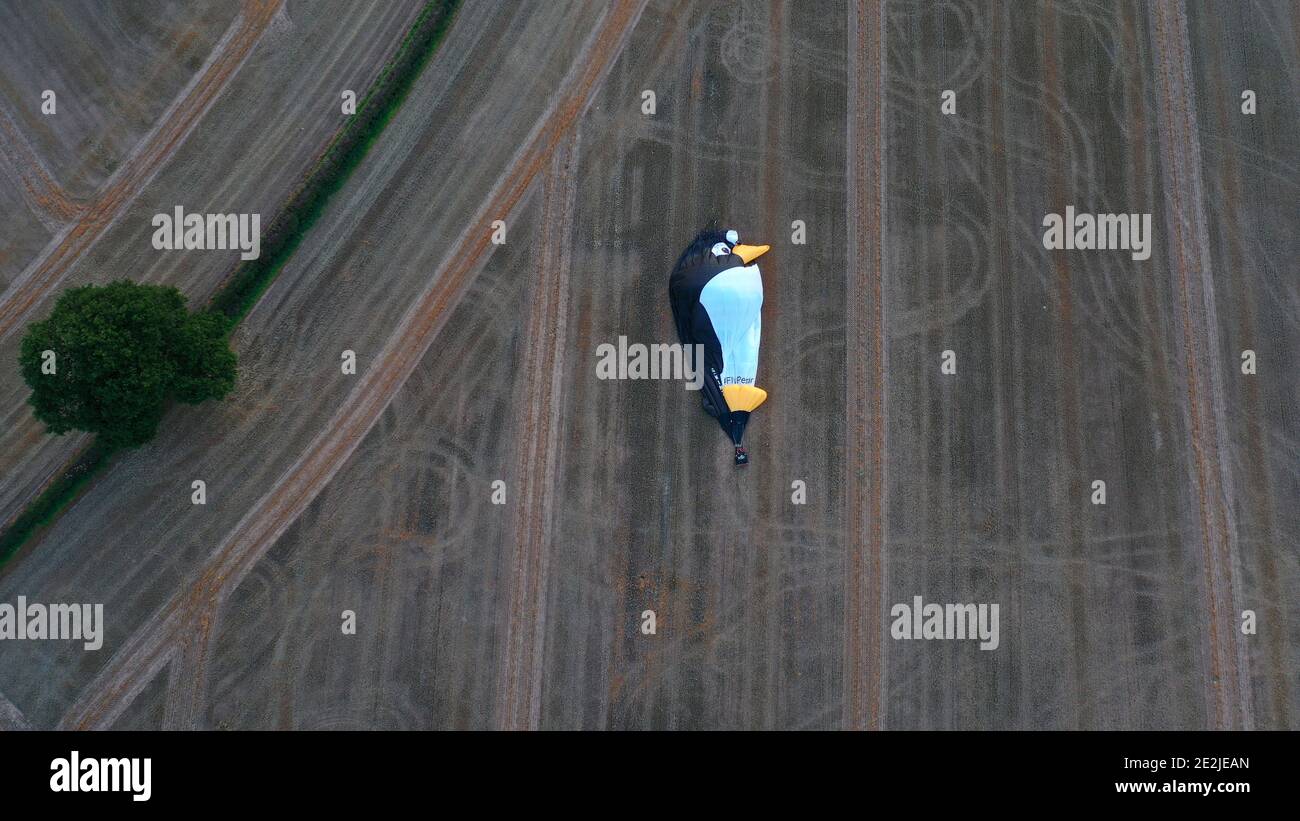 Un globo aerostático de pingüinos en un campo de granjeros de Inglaterra Reino Unido Copyright 2020 © Sam Bagnall Foto de stock