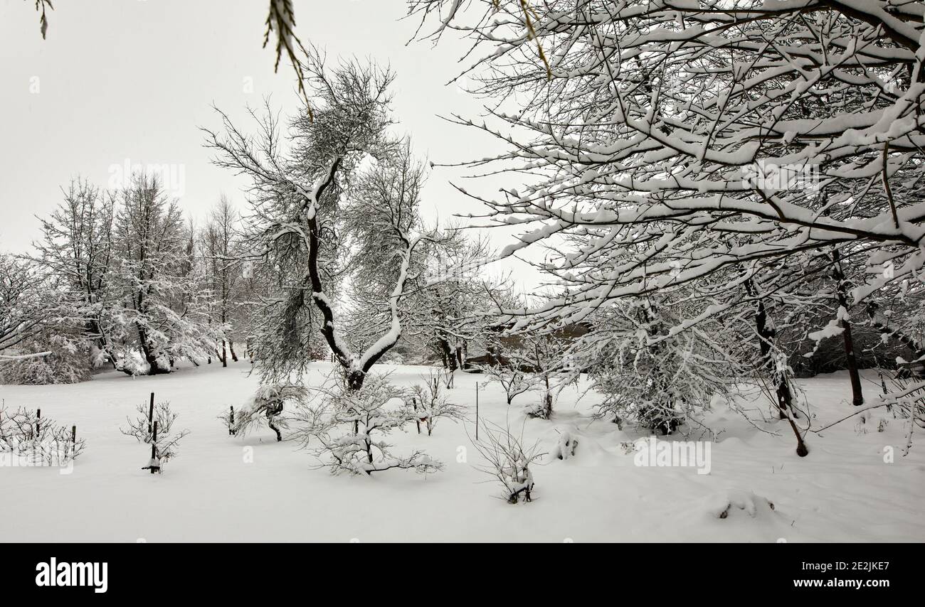 La nieve profunda cubre el jardín después de una Nevada de un día en las pequeñas explotaciones de páramos de Nidderdale. Foto de stock