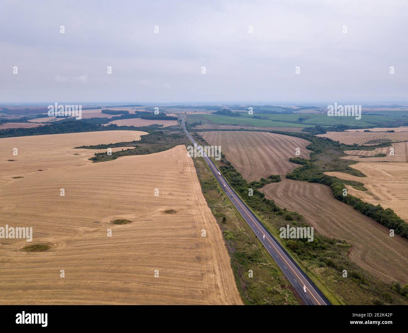 Vista aérea de drones de la carretera BR 373 y campo cultivado con soja en el área rural del estado de Paraná, Brasil, el día de verano. Concepto de agricultura. Foto de stock