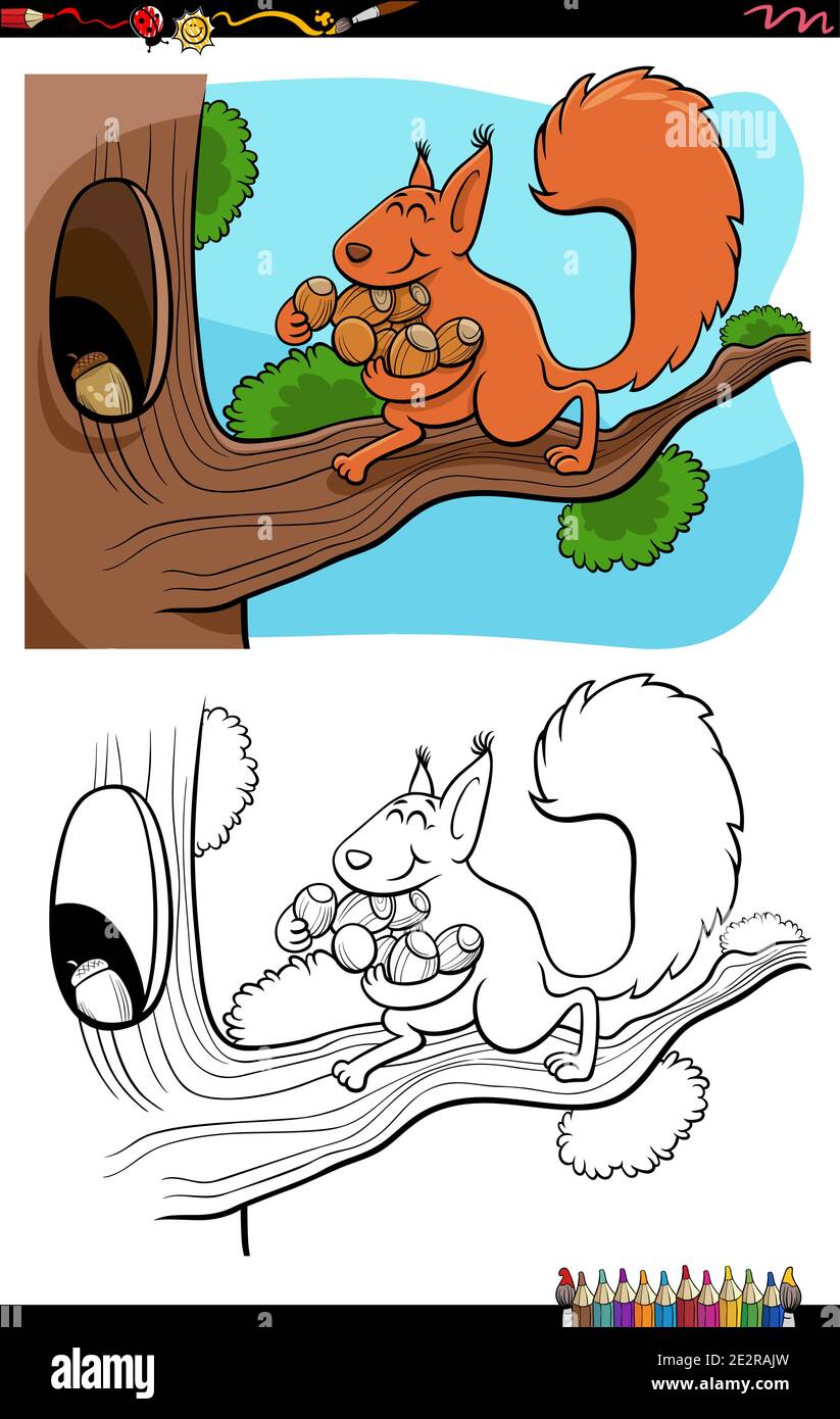 Ilustración de dibujos animados de ardilla llevando bellotas a la coloración hueca página de libro Ilustración del Vector