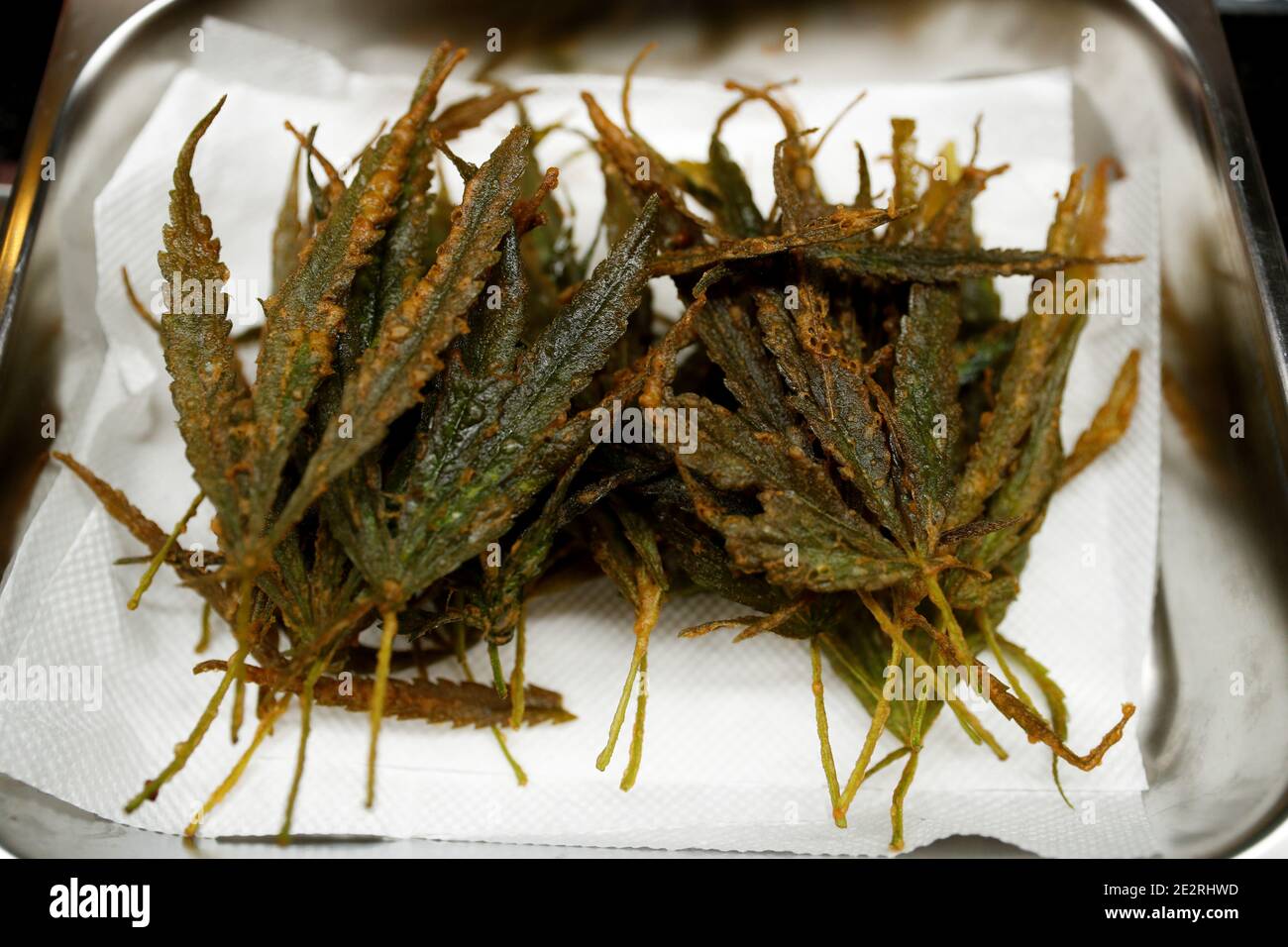 Las hojas fritas de marihuana se sirven en la cantina del hospital de  Abhaibhubejhr, que añade platos infundidos de cannabis a su menú después de  que las hojas, tallos, tallos y raíces