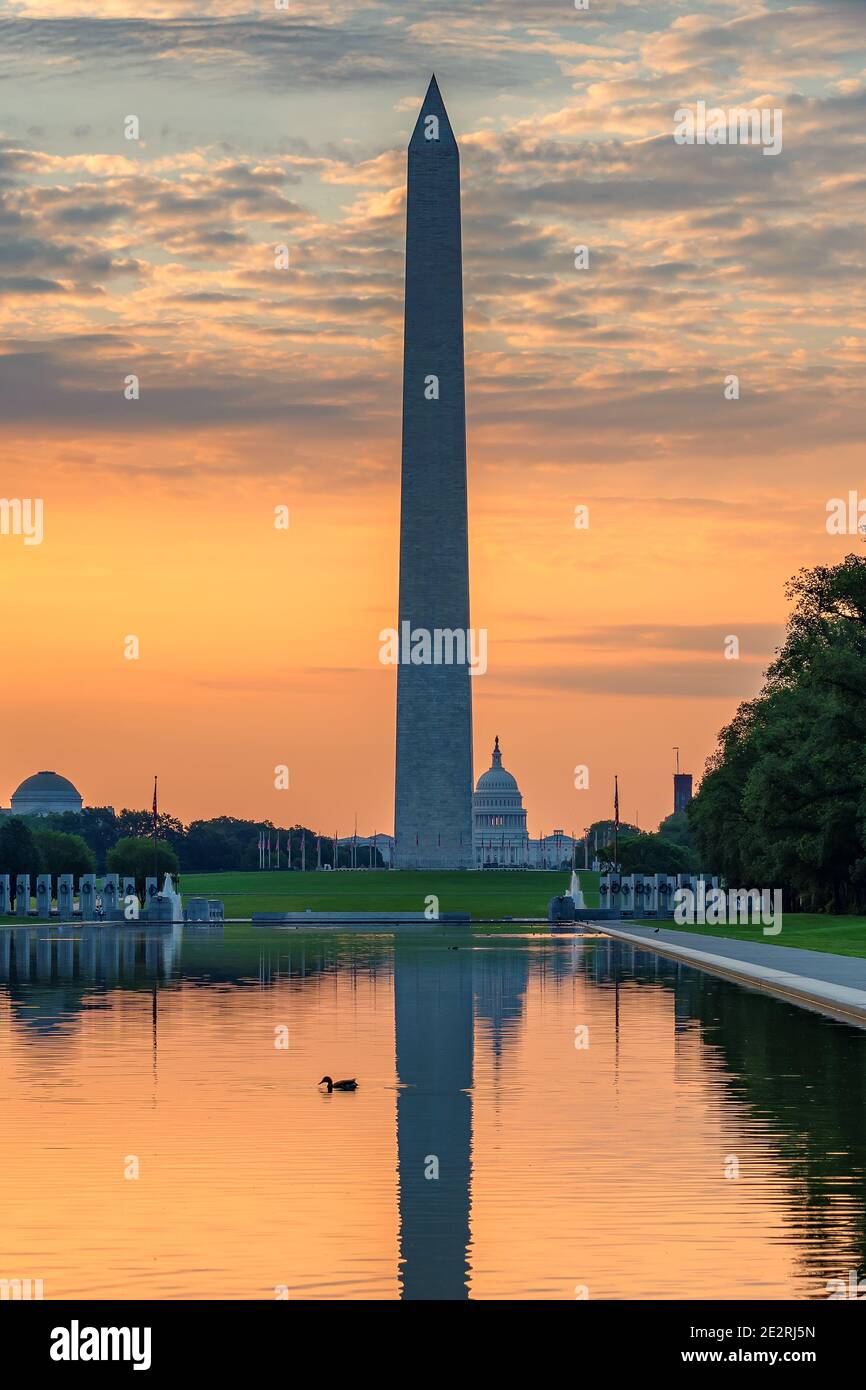 Monumento a Washington al amanecer en Washington DC, Estados Unidos Foto de stock